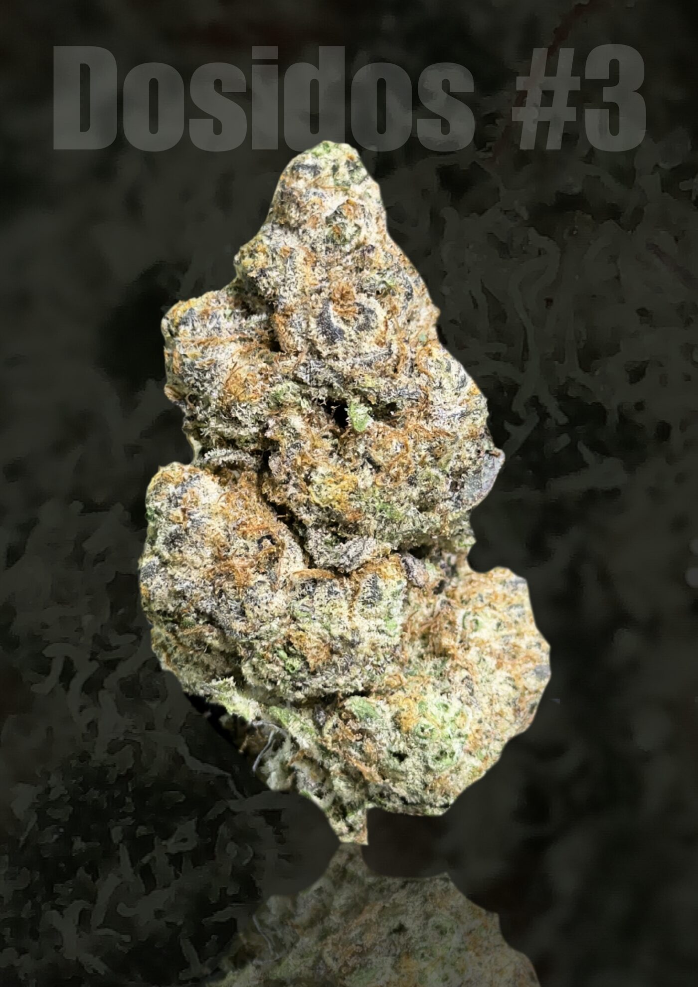 Dosidos flower