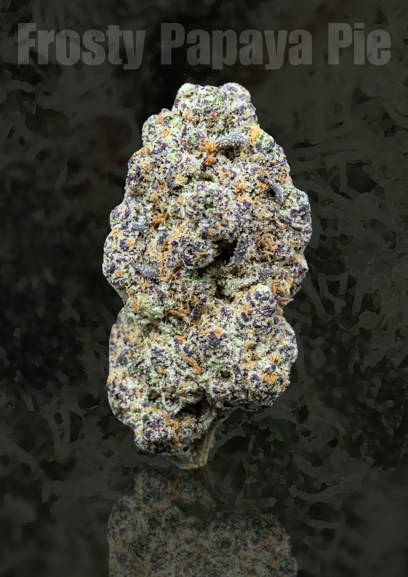Frosty Papaya Pie flower